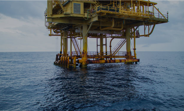 Our Capabilities and Resources